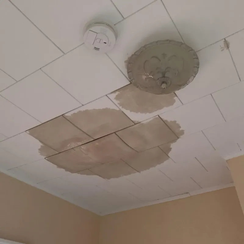 Ceiling Water Damage Repair in West Point, UT