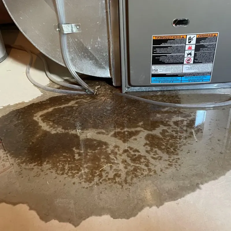 Pipe Burst and Leak Restoration in West Point, UT